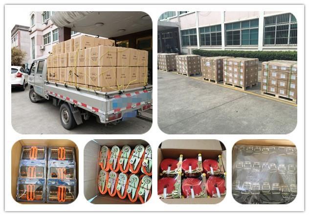 motorcycle tie downs